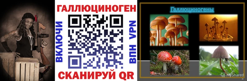 Псилоцибиновые грибы Psilocybine cubensis  Купить закладки  Вихоревка 